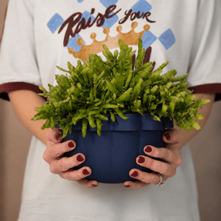 Poppy Self-Watering Hanging Planter - Blueberry - Shades of Jupiter