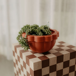 Poppy Self - Watering Hanging Planter - Clay - Shades of Jupiter