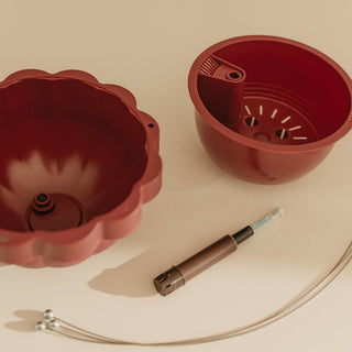 Poppy Self - Watering Hanging Planter - Rhubarb - Shades of Jupiter